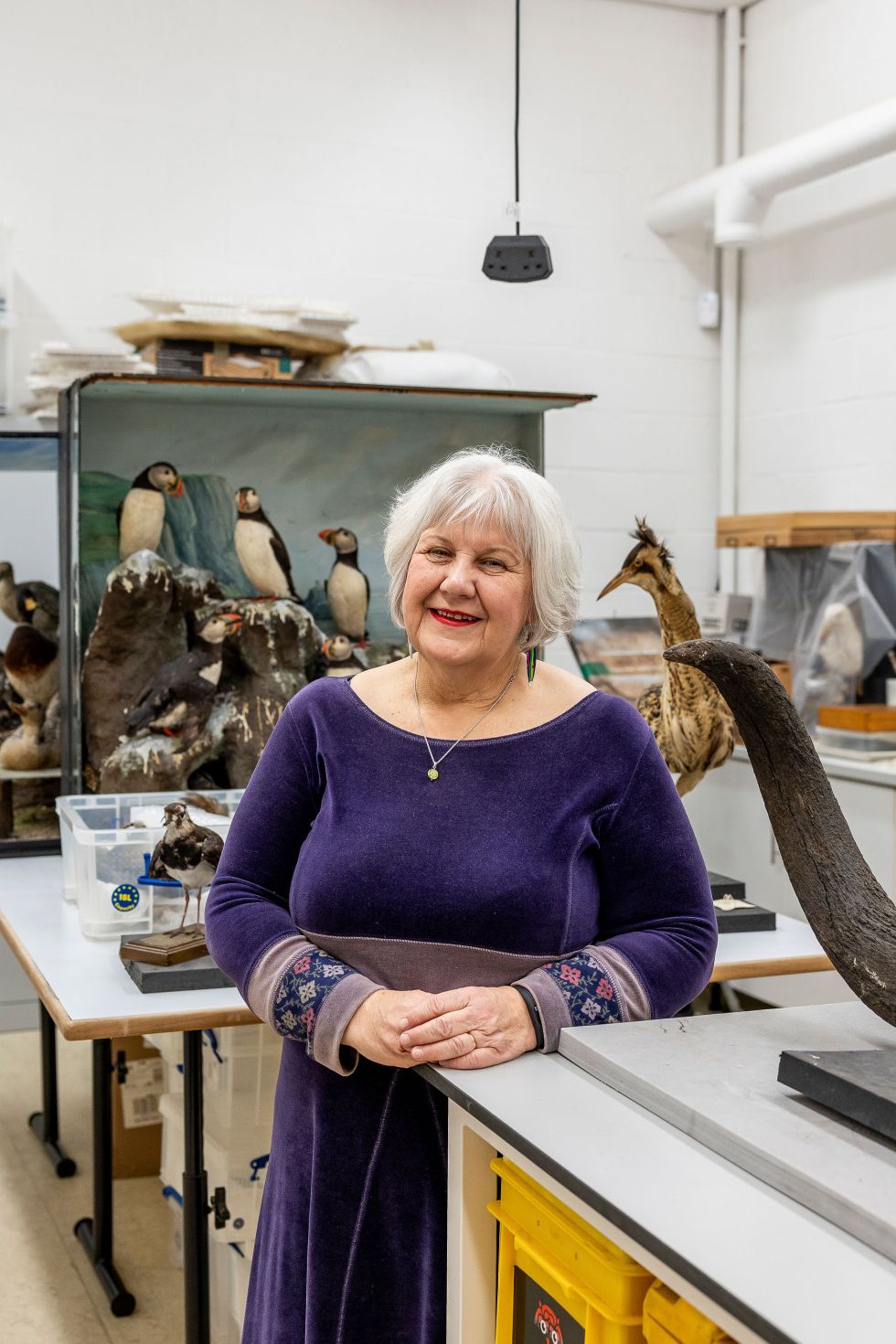 Julie Bell at the Lancashire Conservation Studios. Image by Christina Davies, Fish2Photo